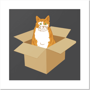 Orange Tabby Cat In A Box Posters and Art